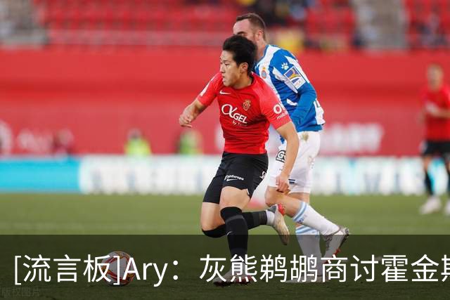 [流言板]Ary：灰熊鹈鹕商讨霍金斯交易，拉塞尔或被纳入交易框架